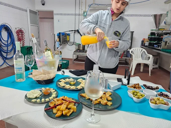 Cata de Aceite y Vinos